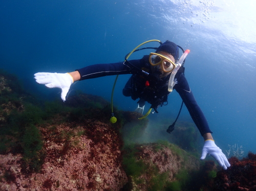 西伊豆・黄金崎の美しい水中光景とダイバーのシルエット