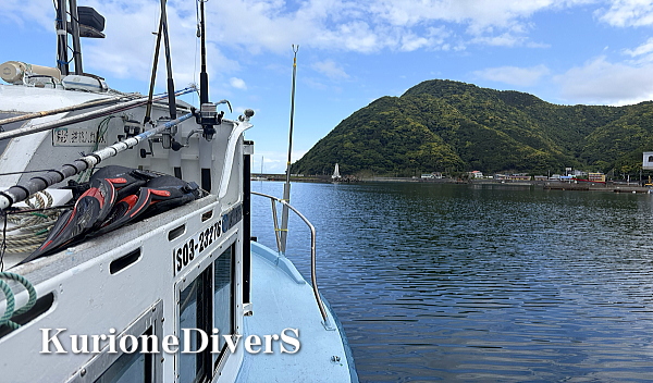 西伊豆・安良里 沖の根のダイビング風景