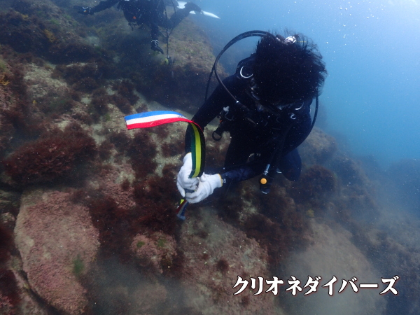 水中ウエイト脱着トレーニング
