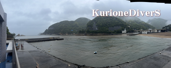 大雨の影響で茶色く濁った雲見の湾内水面