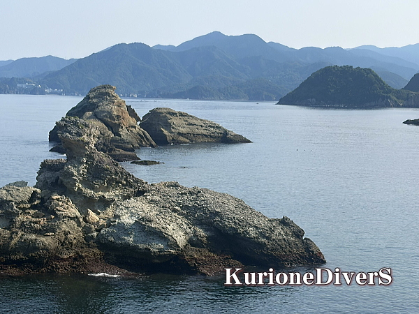 西伊豆ダイビングの聖地、雲見ダイビングのHの洞窟内に群れるキンメモドキの魚群