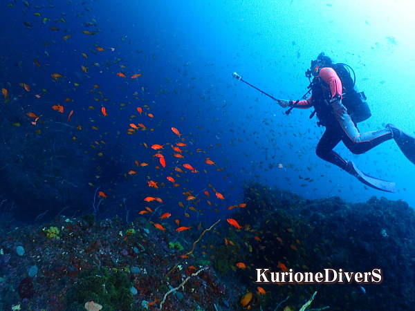 Insta360で魚群を撮影するK様