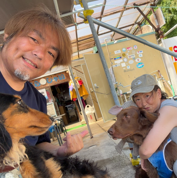 フラットコーテッドレトリバーのルイ君と看板犬セブン