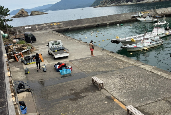 貸切状態の雲見の海
