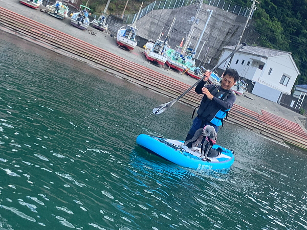 お父さんのSUPボードでお座りするトイプードル