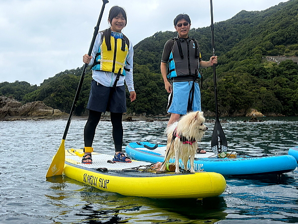 SUPボードの先端にちょこんとお座りしてお利口にクルージングするポメラニアンのこむぎちゃん