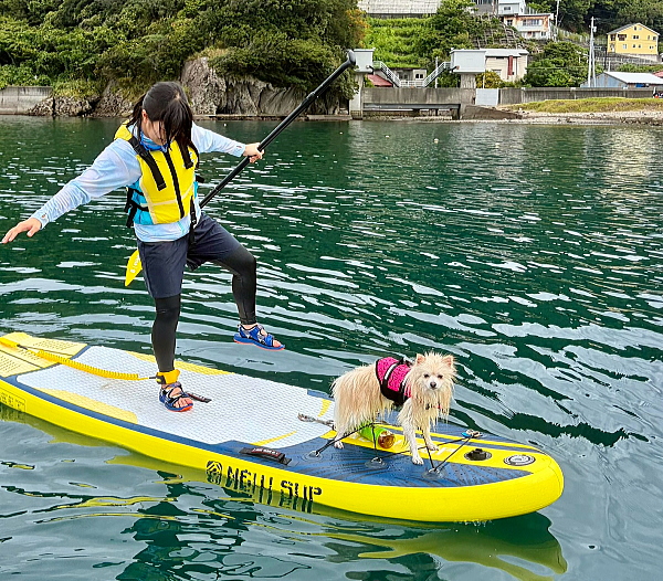 愛犬のこむぎちゃんと一緒にSUPの上で片足立ちをする微笑ましい光景