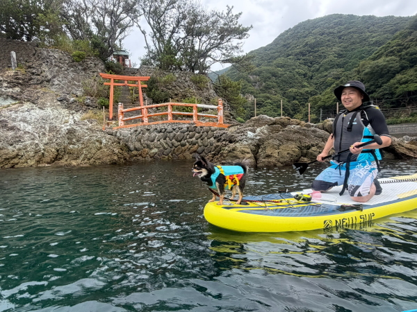 海に慣れてボードの先端に座る可愛いまるちゃん