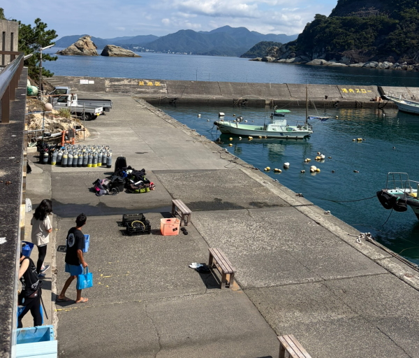 ガラガラで貸し切り状態の雲見の波止場