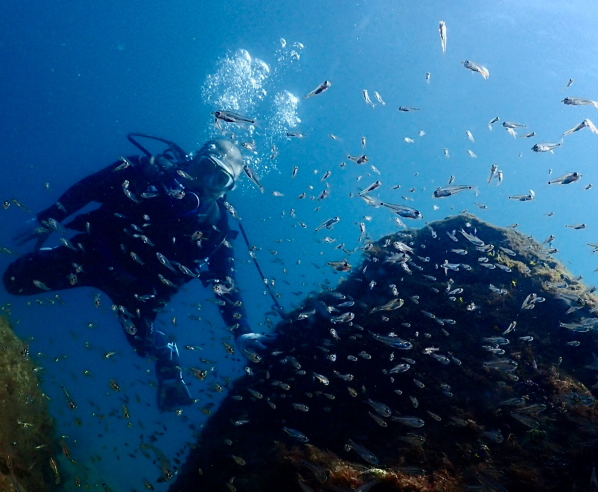 魚の群れに囲まれてピースサインをするゲスト様