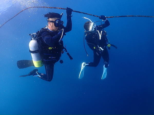 穏やかな海況の中、外海フト根へ潜降するダイバー