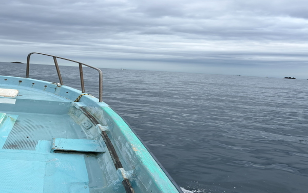 フト根のダイナミックな地形と海中風景