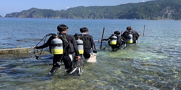 穏やかな水面と抜群の透明度を誇る黄金崎ビーチ