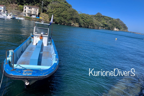 田子のダイビング船