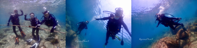 ������̌��_�C�r���O