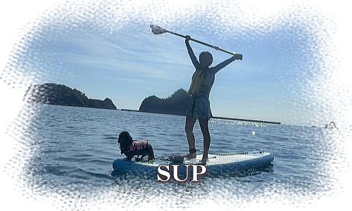 西伊豆で愛犬と一緒にSUPを満喫