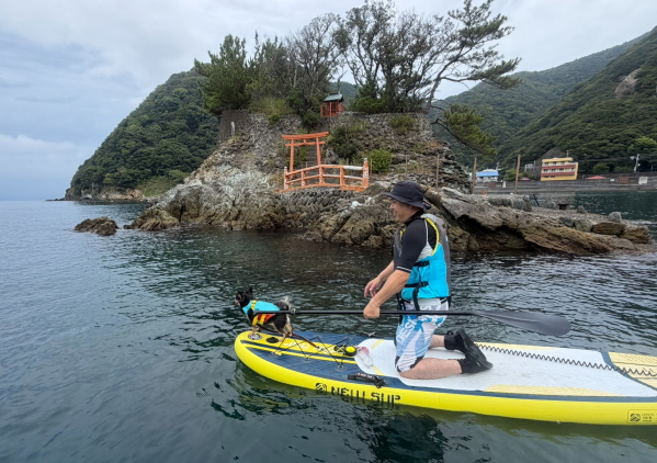 安良里の穏やかな海でドッグSUPを楽しむ様子