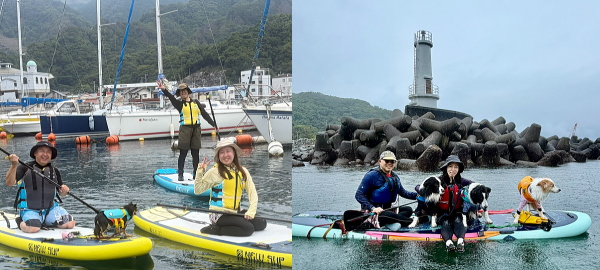 安良里の穏やかな海や洞窟で犬とSUPを楽しむ様子